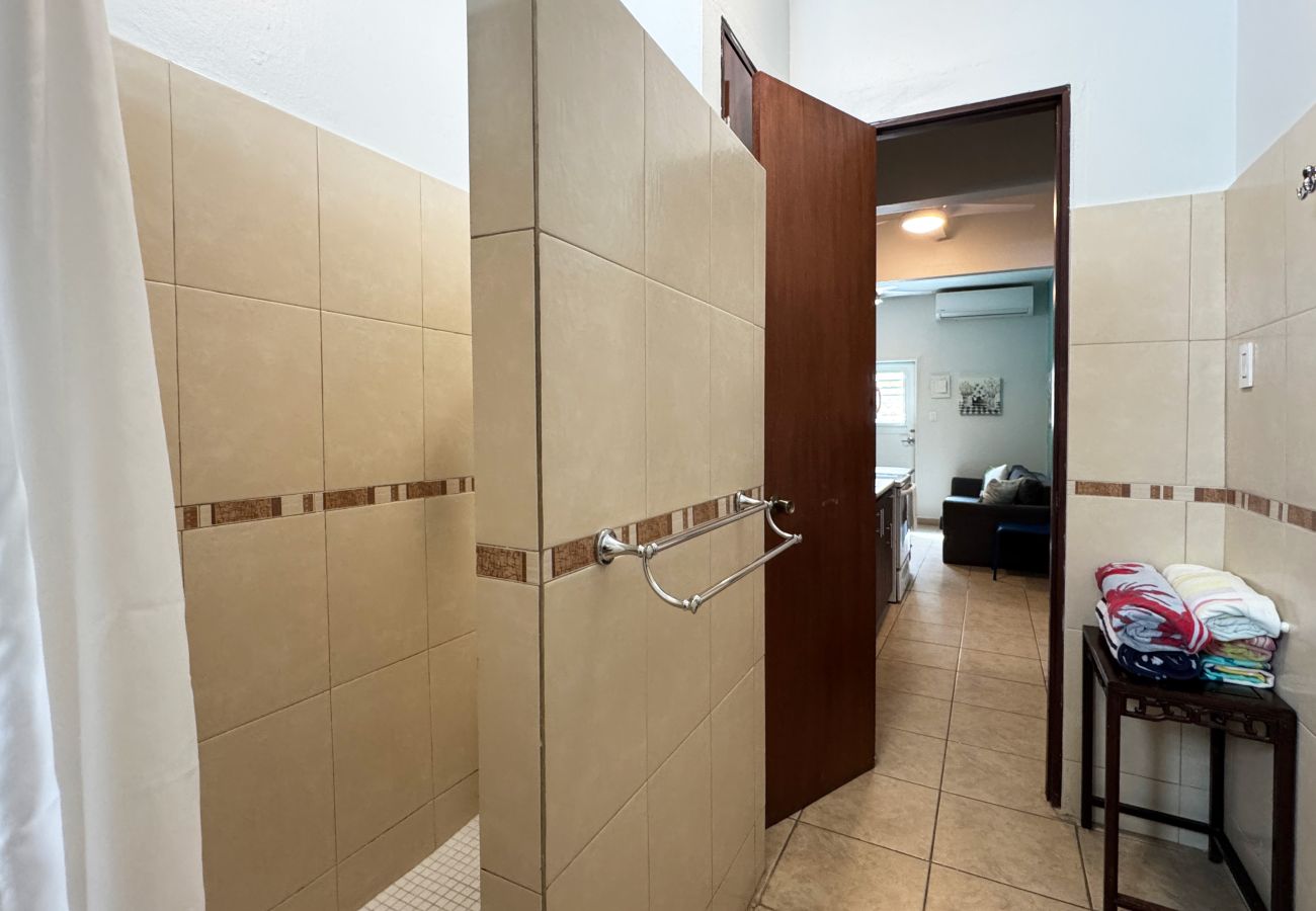 Apartamento en San Juan - Condado Escape | 2BR with Rooftop Terrace & Charm