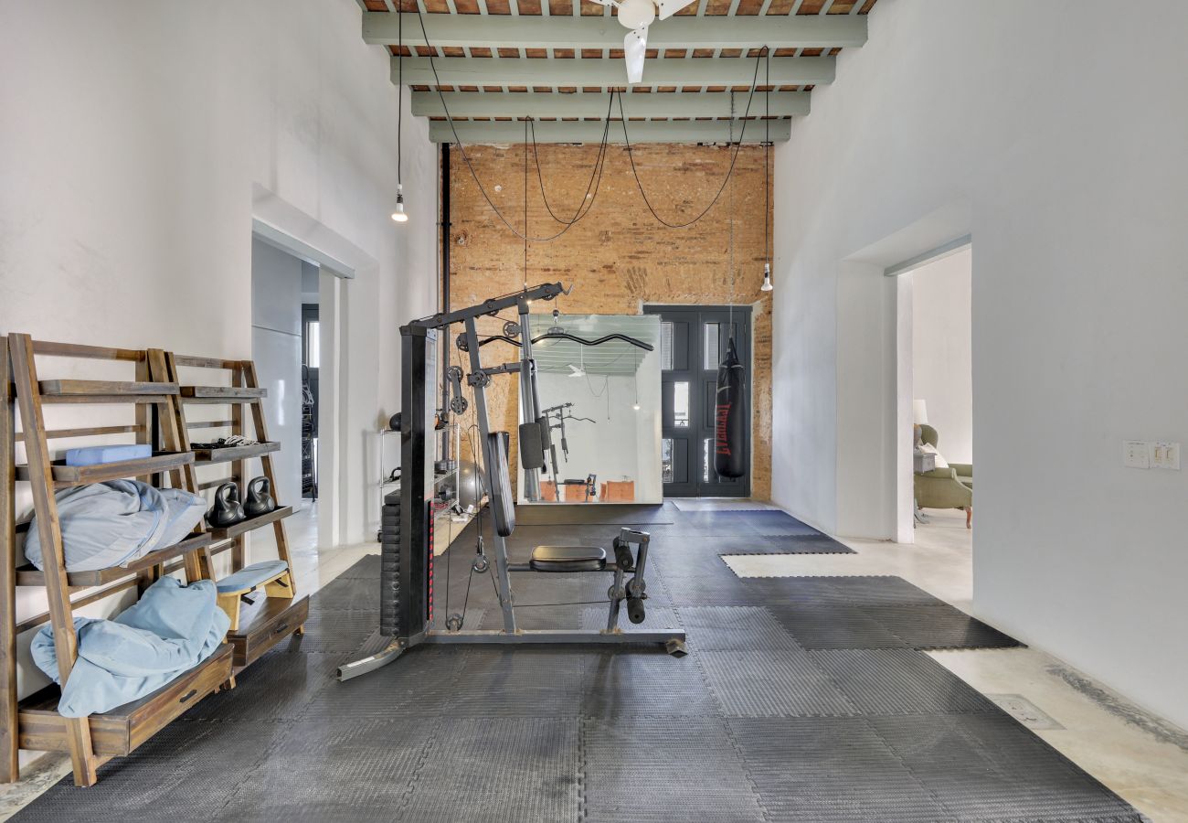 Casa en San Juan - Rooftop Garden Oasis in the Heart of Old San Juan