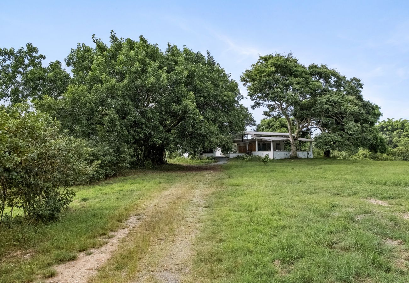 Casa en Ciales - Casa Algarrobo finca relajante en Puerto Rico