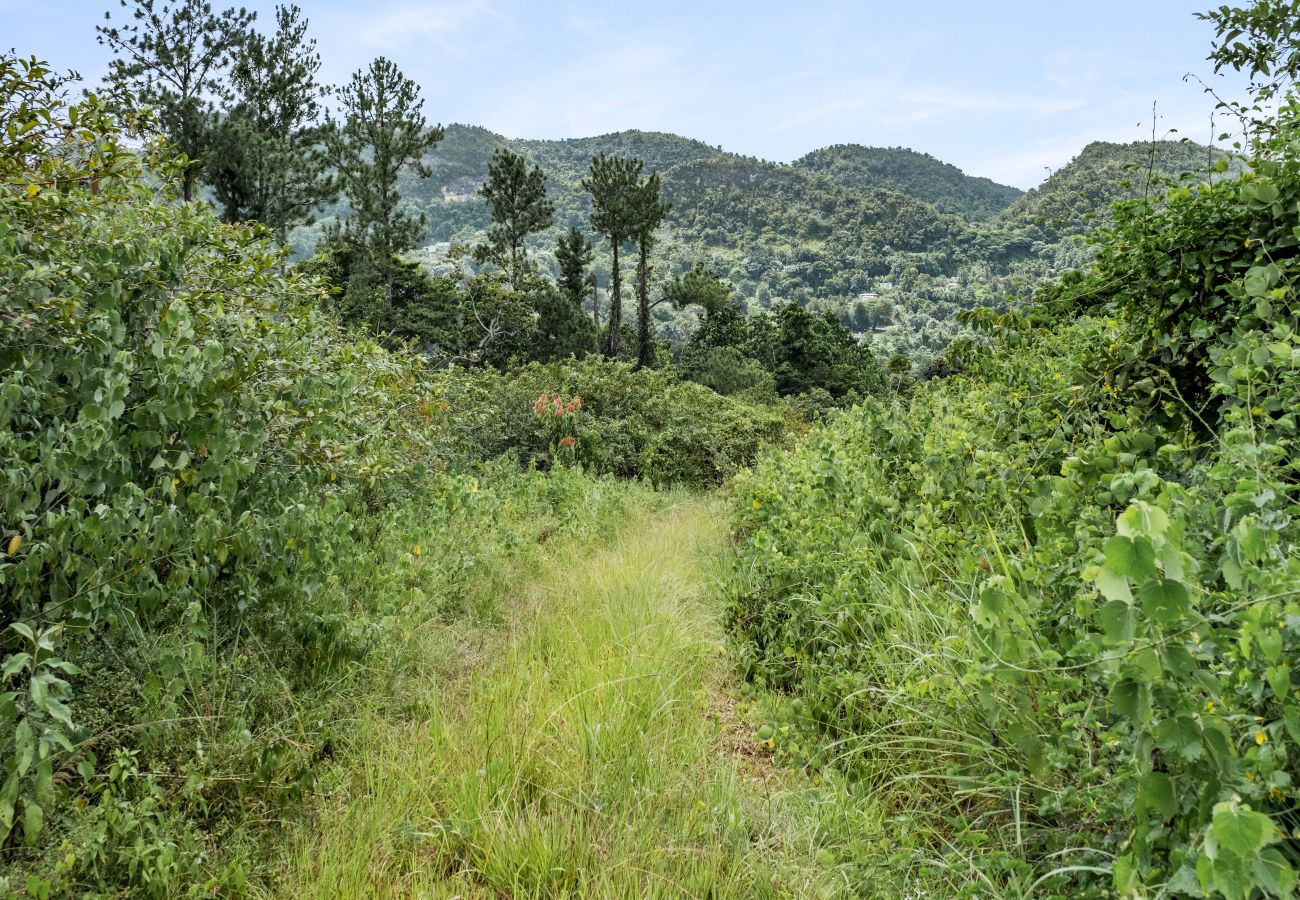 Casa en Ciales - Casa Algarrobo finca relajante en Puerto Rico