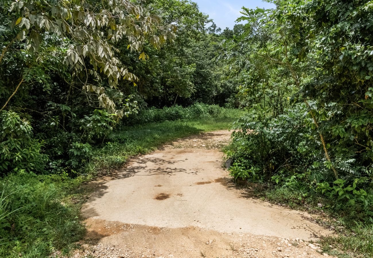 Casa en Ciales - Casa Algarrobo finca relajante en Puerto Rico