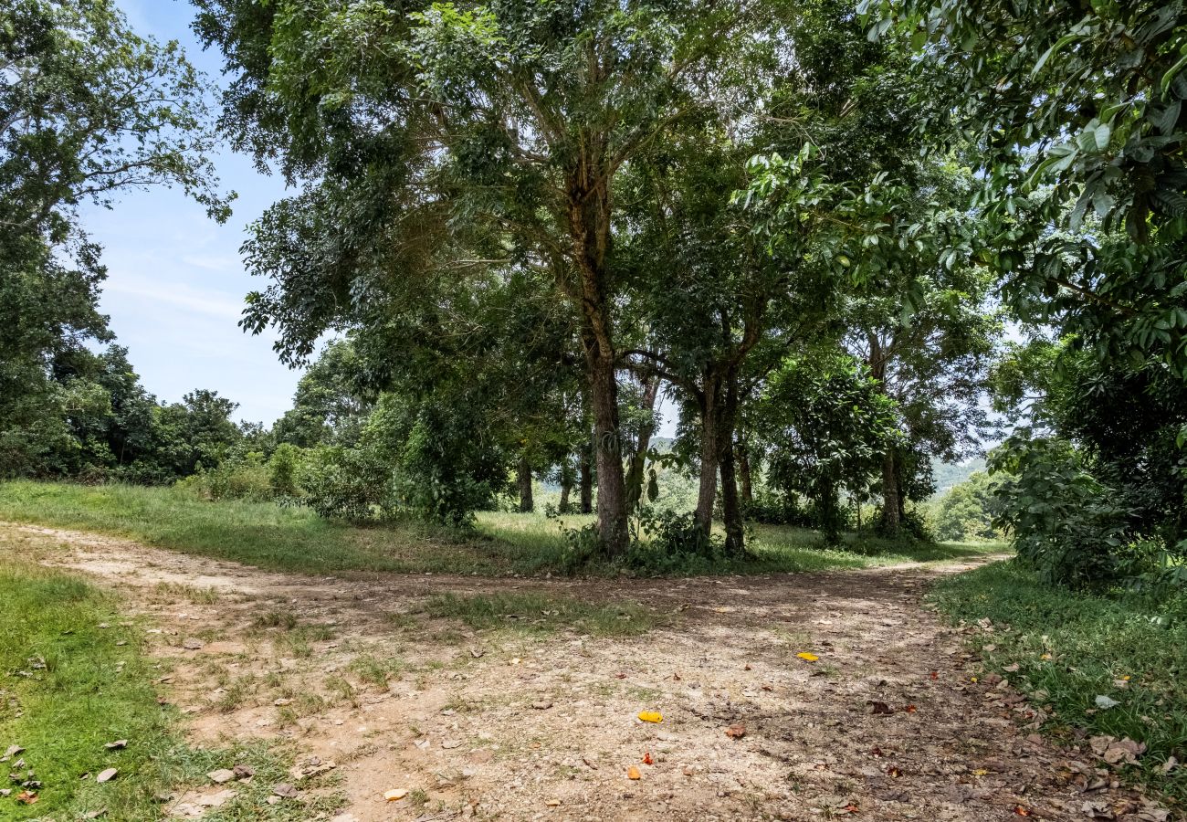 Casa en Ciales - Casa Algarrobo finca relajante en Puerto Rico