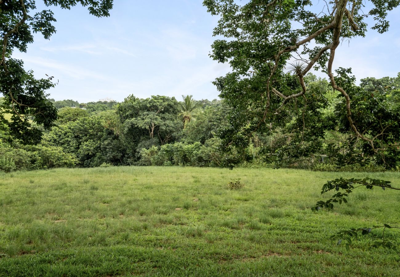 Casa en Ciales - Casa Algarrobo finca relajante en Puerto Rico