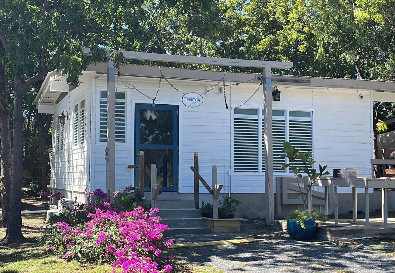 Cabaña en Cabo Rojo - Cabaña Rústica en el Corazón de los Campos de Pitahaya