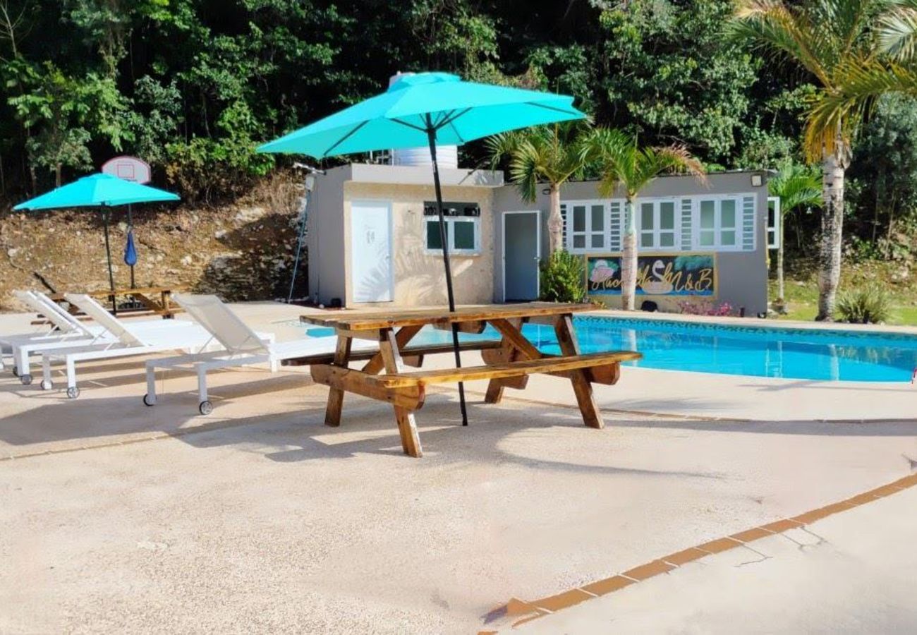 Casa en Vega Baja - Hacienda M&B · Perfecta para Grupos, con Piscina y Patio Espacioso