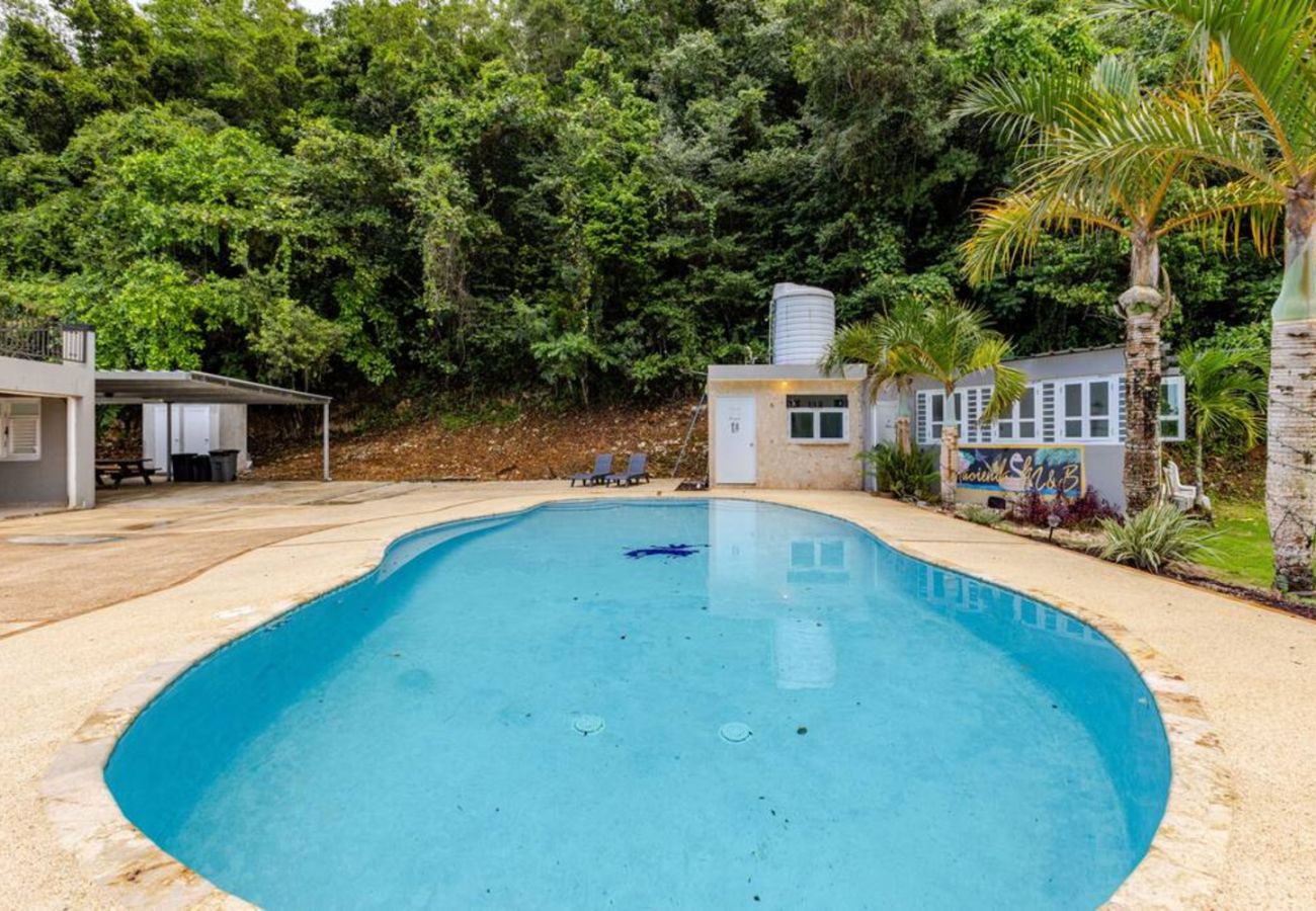 Casa en Vega Baja - Hacienda M&B · Perfecta para Grupos, con Piscina y Patio Espacioso