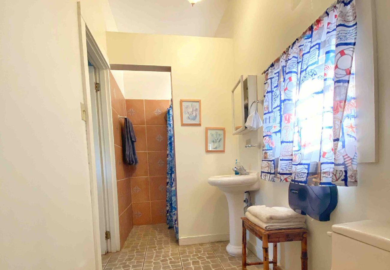 Apartamento en Rincon - Apartamento de una habitación con vista al mar en Puntas Tree House