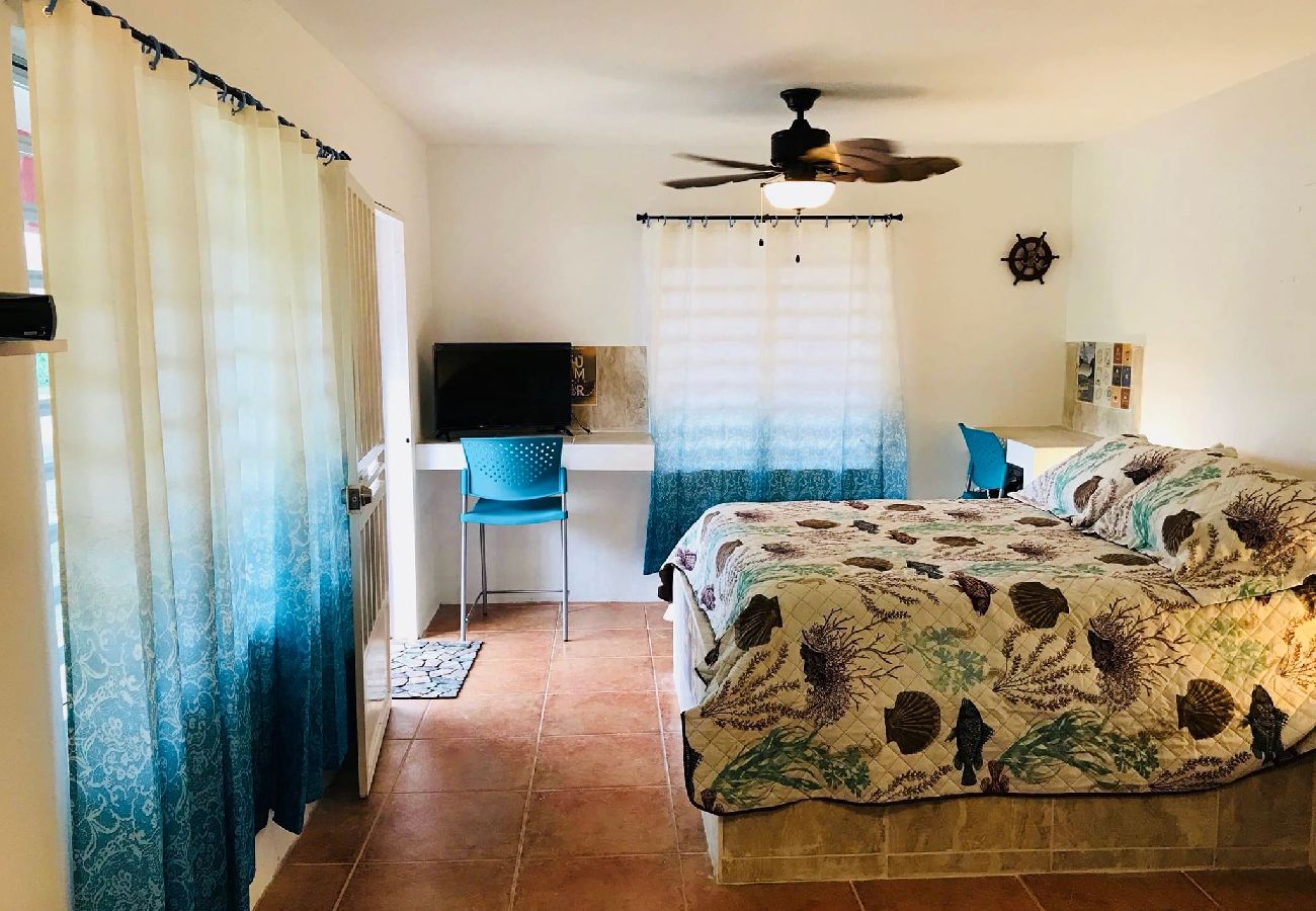 Estudio en Rincon - Estudio de Playa Tranquilo en el Corazón de Puntas