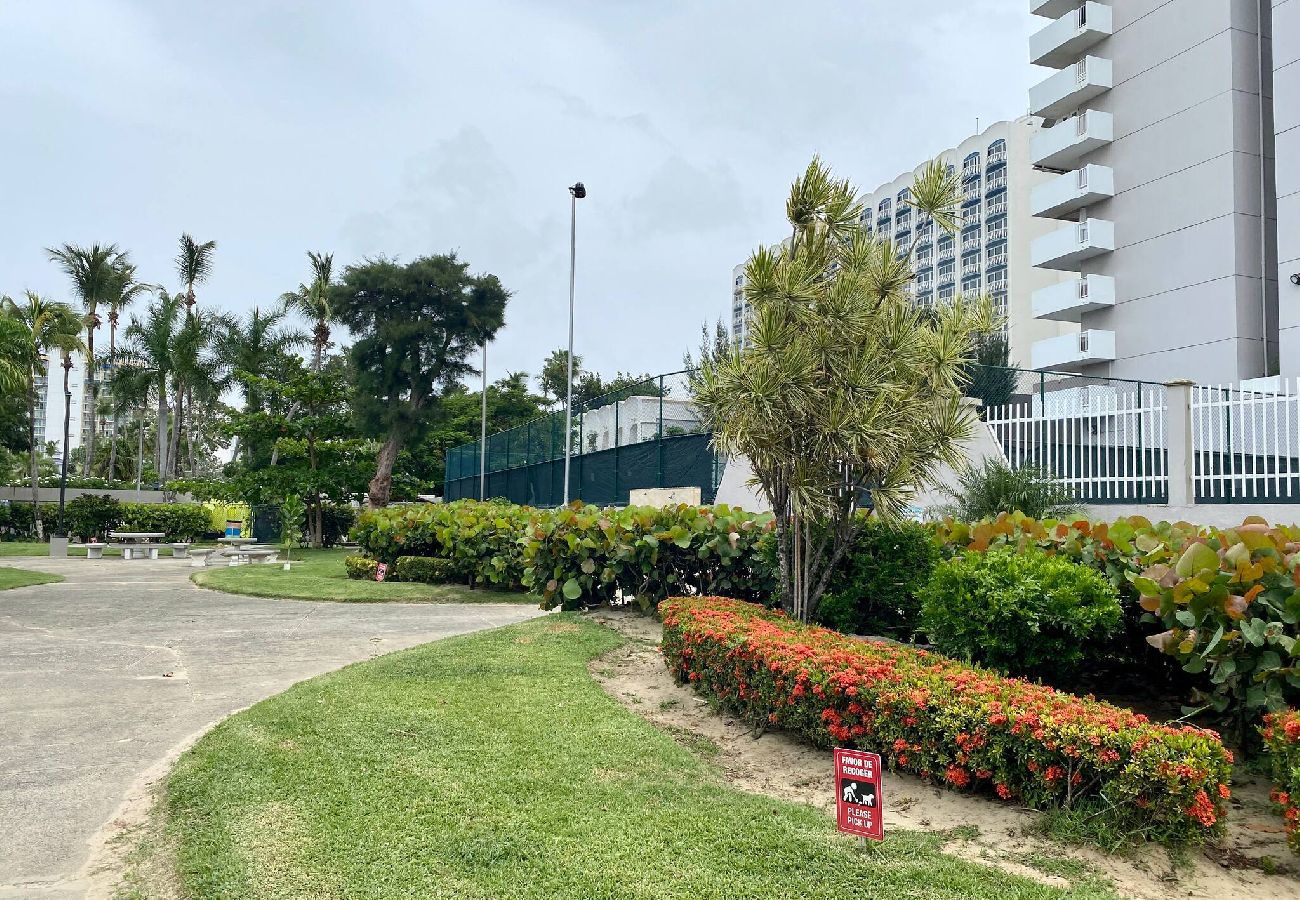 Apartamento en Luquillo - Amazing sunset/ ocean view beachfront studio 