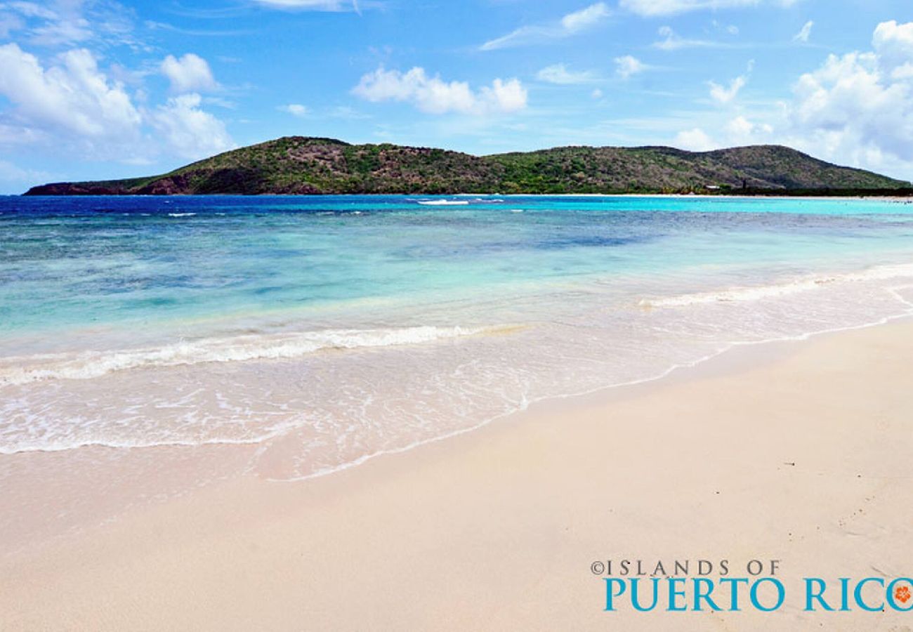 Apartamento en Fajardo - -