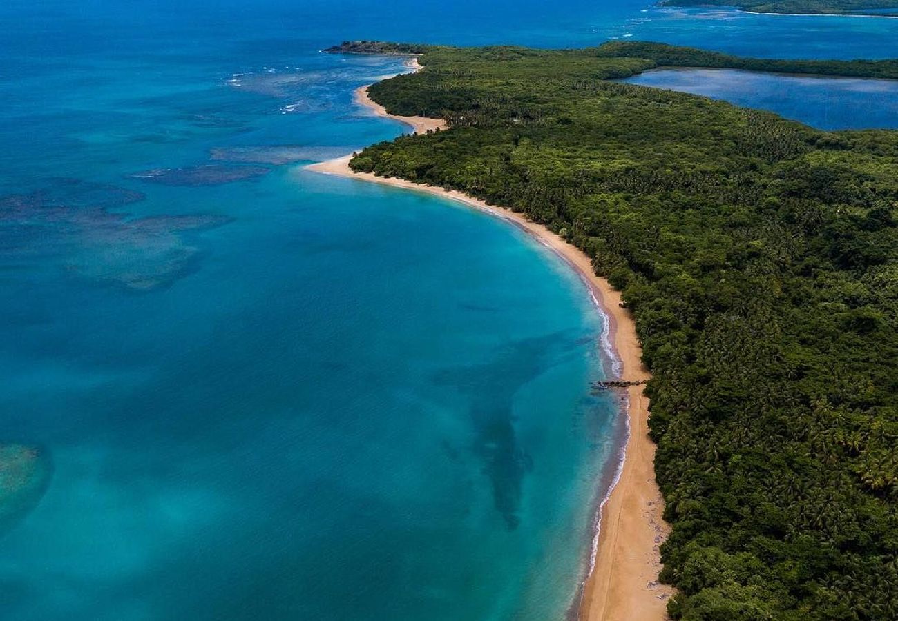 Apartamento en Fajardo - -