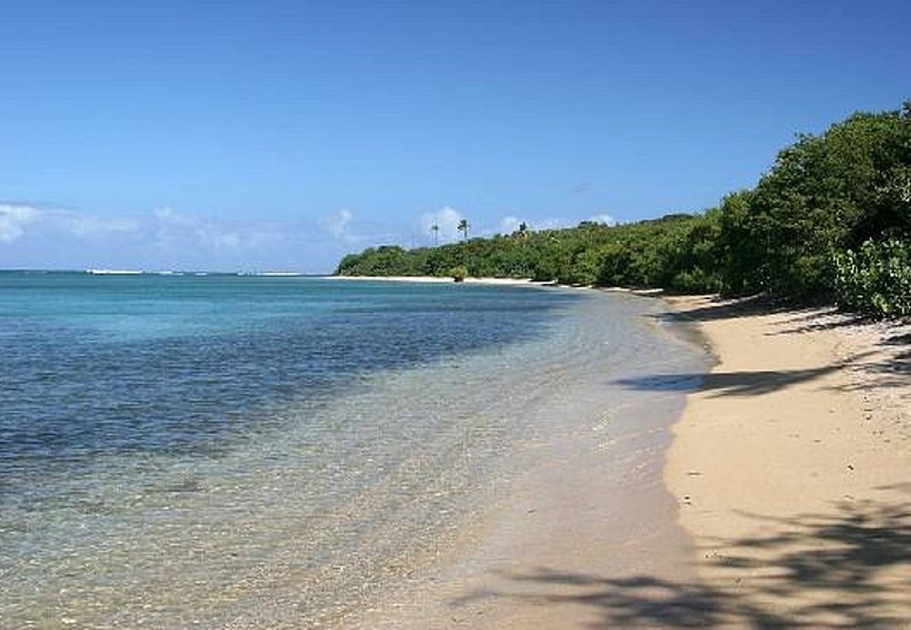 Apartamento en Fajardo - -