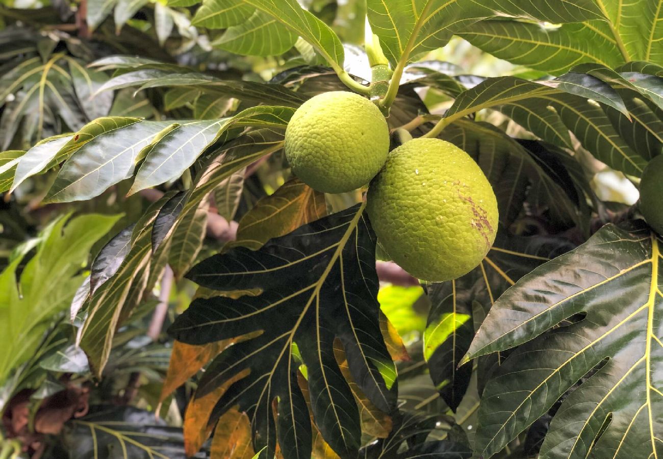 Apartamento en Fajardo - -