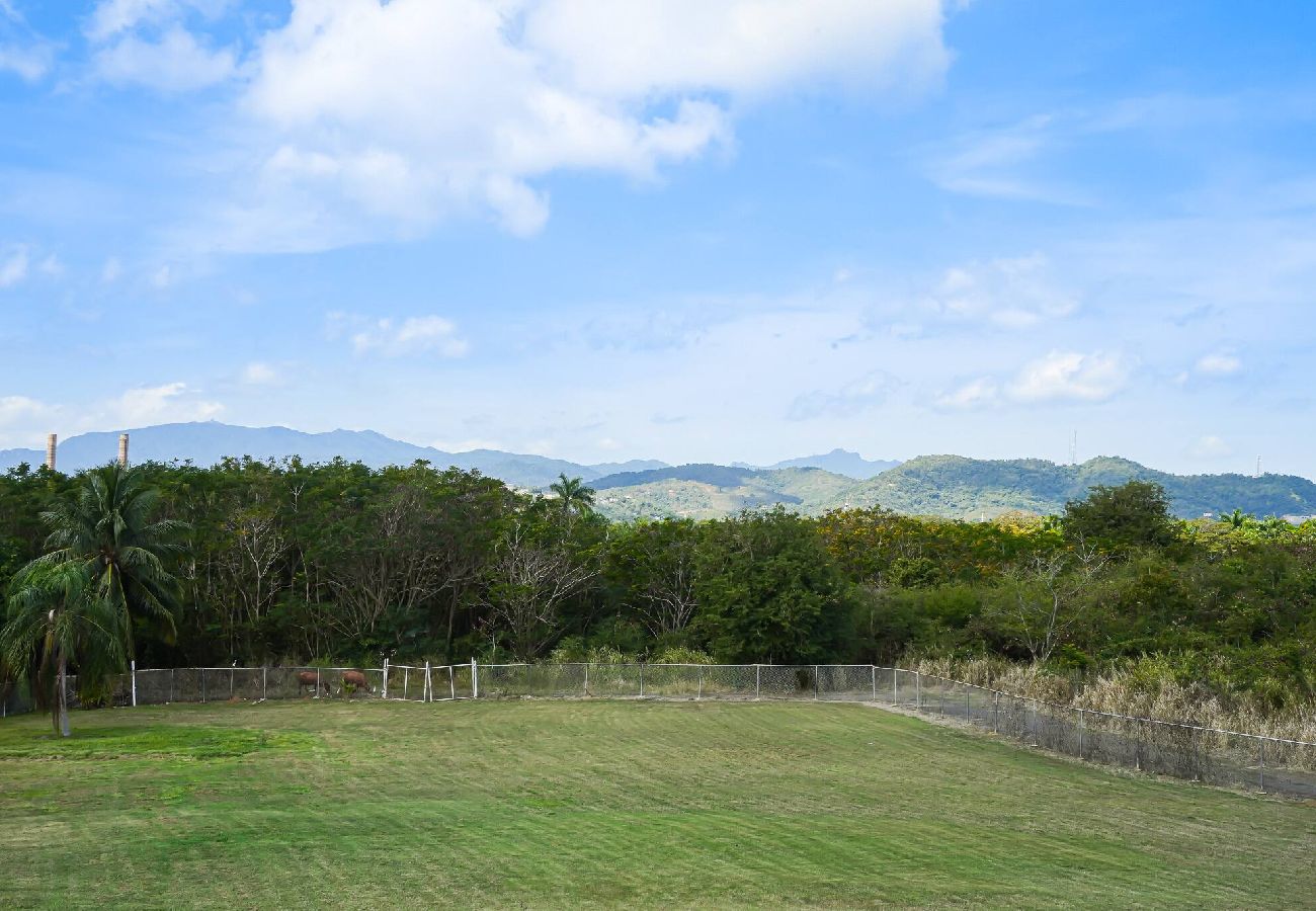 Apartamento en Fajardo - -