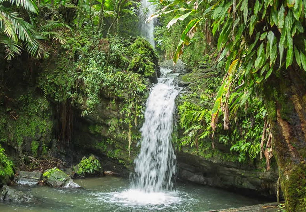 Apartamento en Fajardo - -