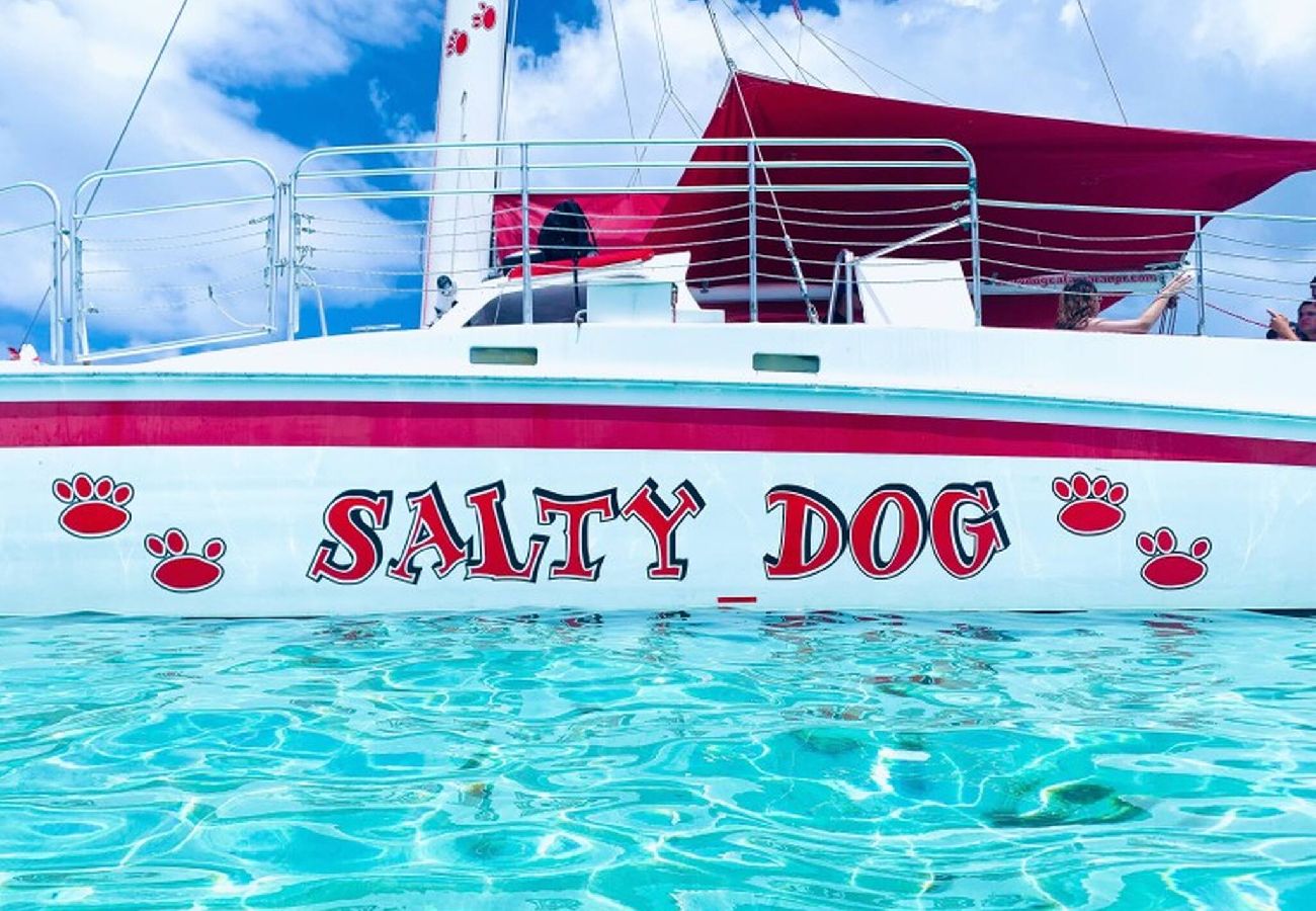 Apartamento en Fajardo - -