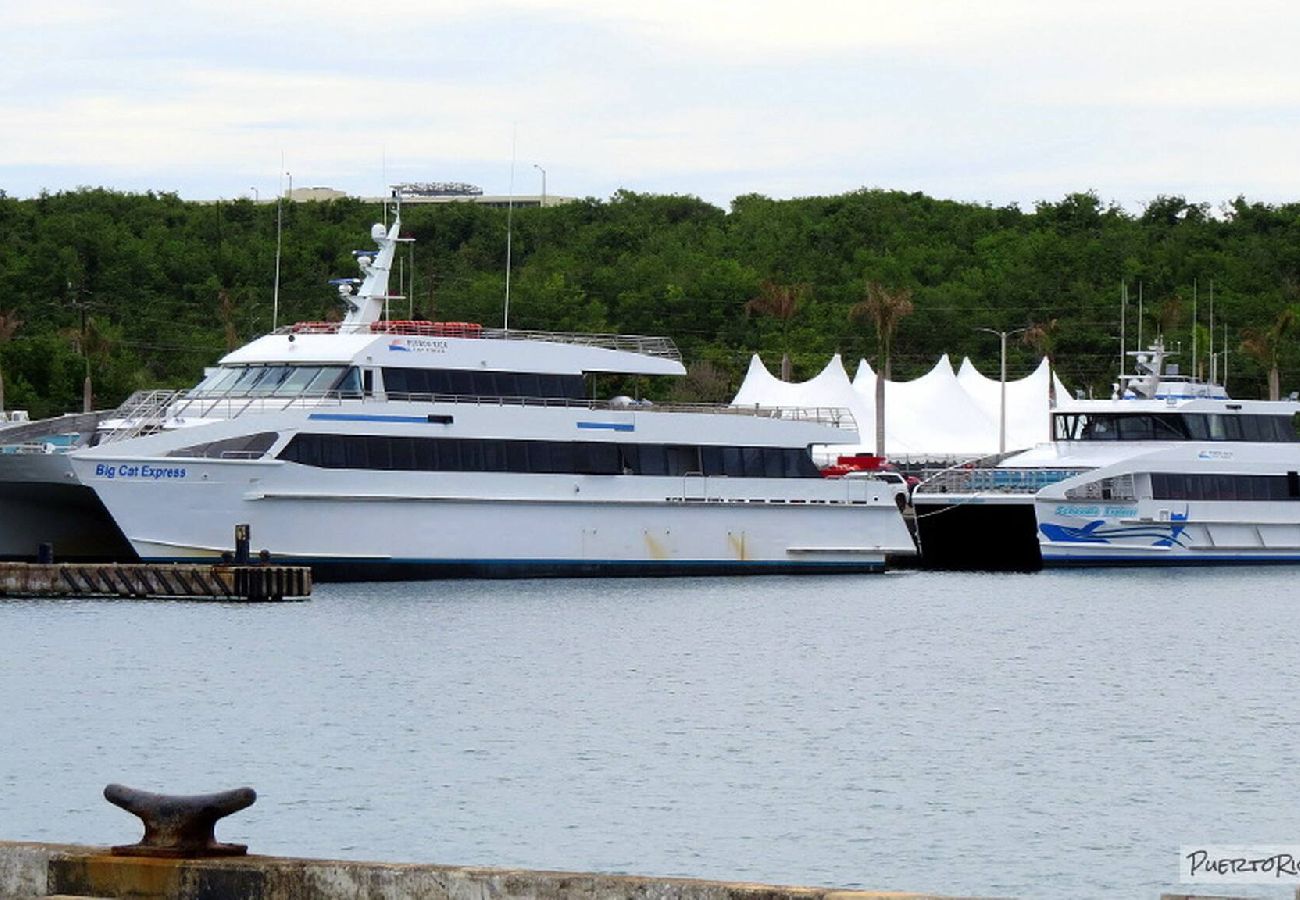 Apartamento en Fajardo - -