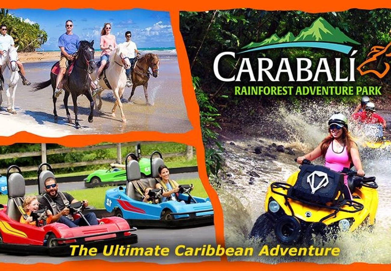 Apartamento en Fajardo - -