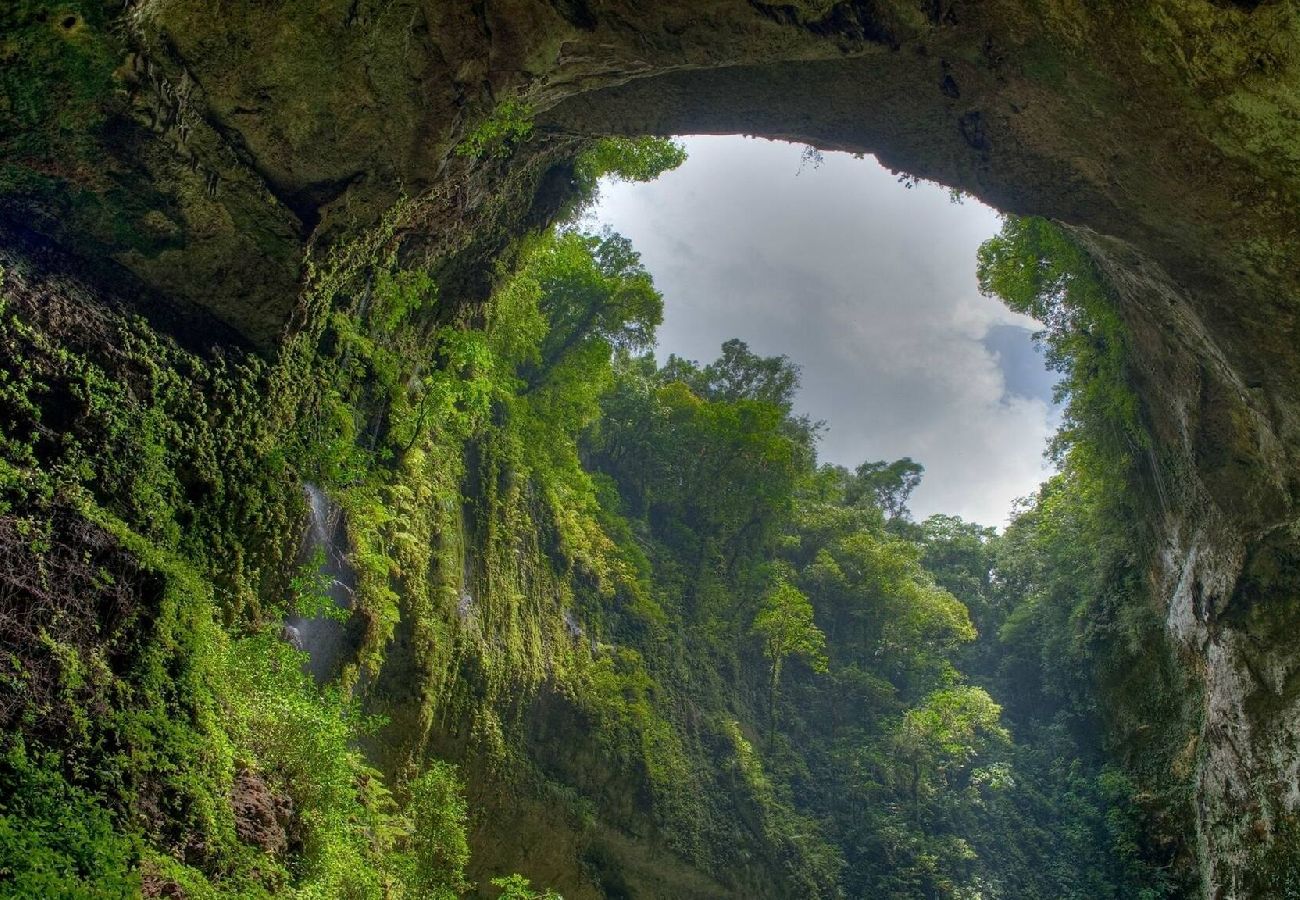 Apartamento en Fajardo - -