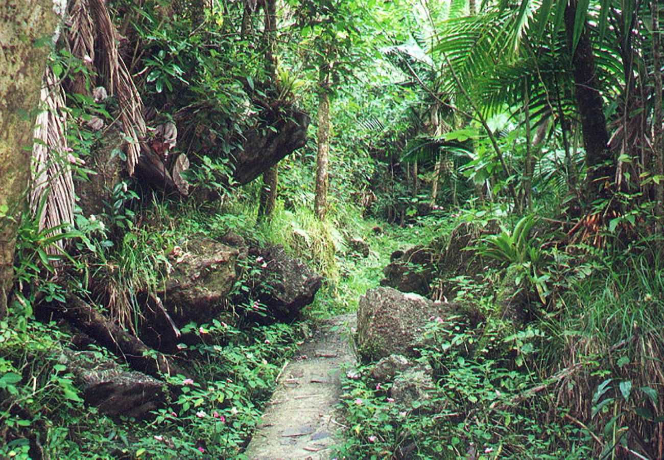 Apartamento en San Juan - Centric, Spacious, Stylish Miramar Unit, Sleeps 4 