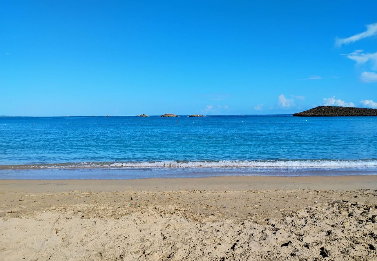 Apartamento en Vega Baja - Comfortable 1BR Beachside Apartment – Sleeps 4