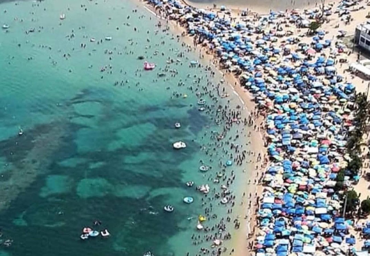 Apartamento en Vega Baja - Cozy 1BR Apartment with Private Entrance