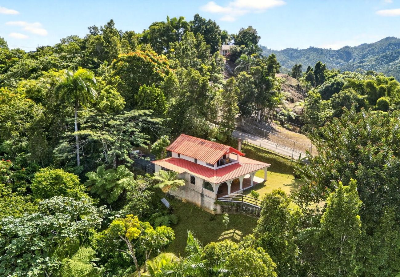 Finca en Cayey - Hideaway Mountain Escape w/ Jacuzzi & Scenic Views