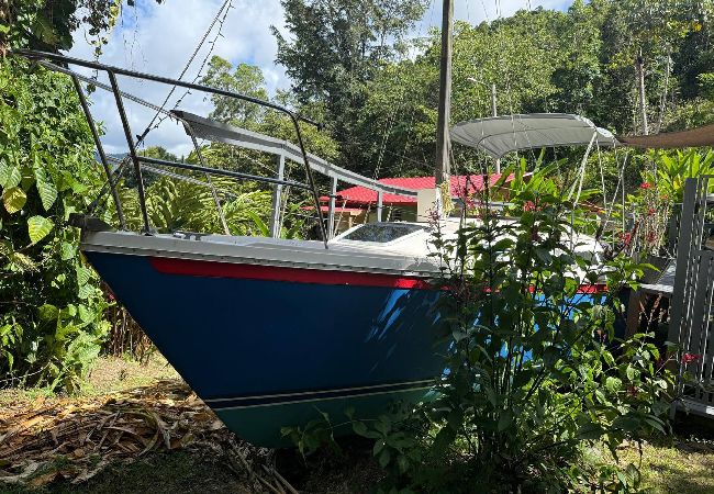 Barco en Cayey - -