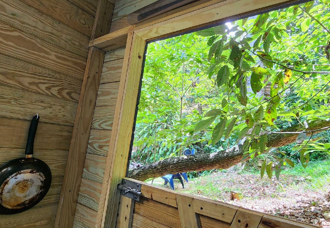 Cabaña en Cayey - Pequeña y Acogedora Cabaña de Montaña en Cayey 