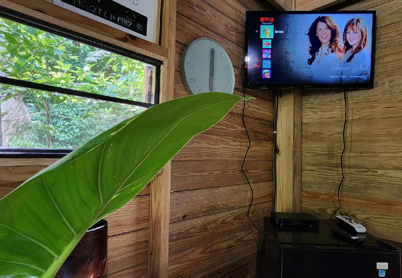 Cabaña en Cayey - Pequeña y Acogedora Cabaña de Montaña en Cayey 