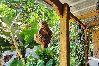 Cabaña en Cayey - Cozy Tiny Cabin in the Mountains | Peaceful Escape in Cayey.