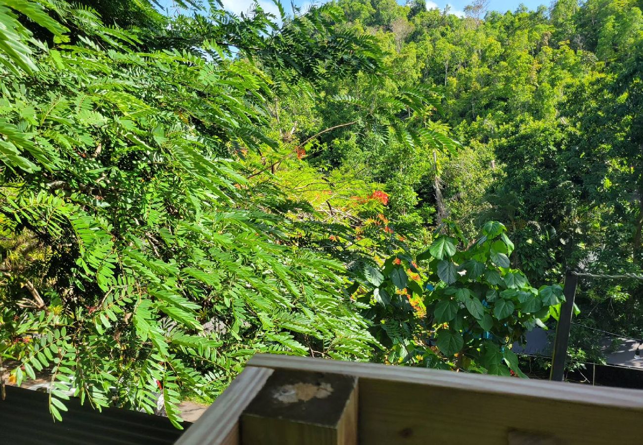 Casa en Cayey - Romantic Cozy Serene A Frame Mountain Cabin 