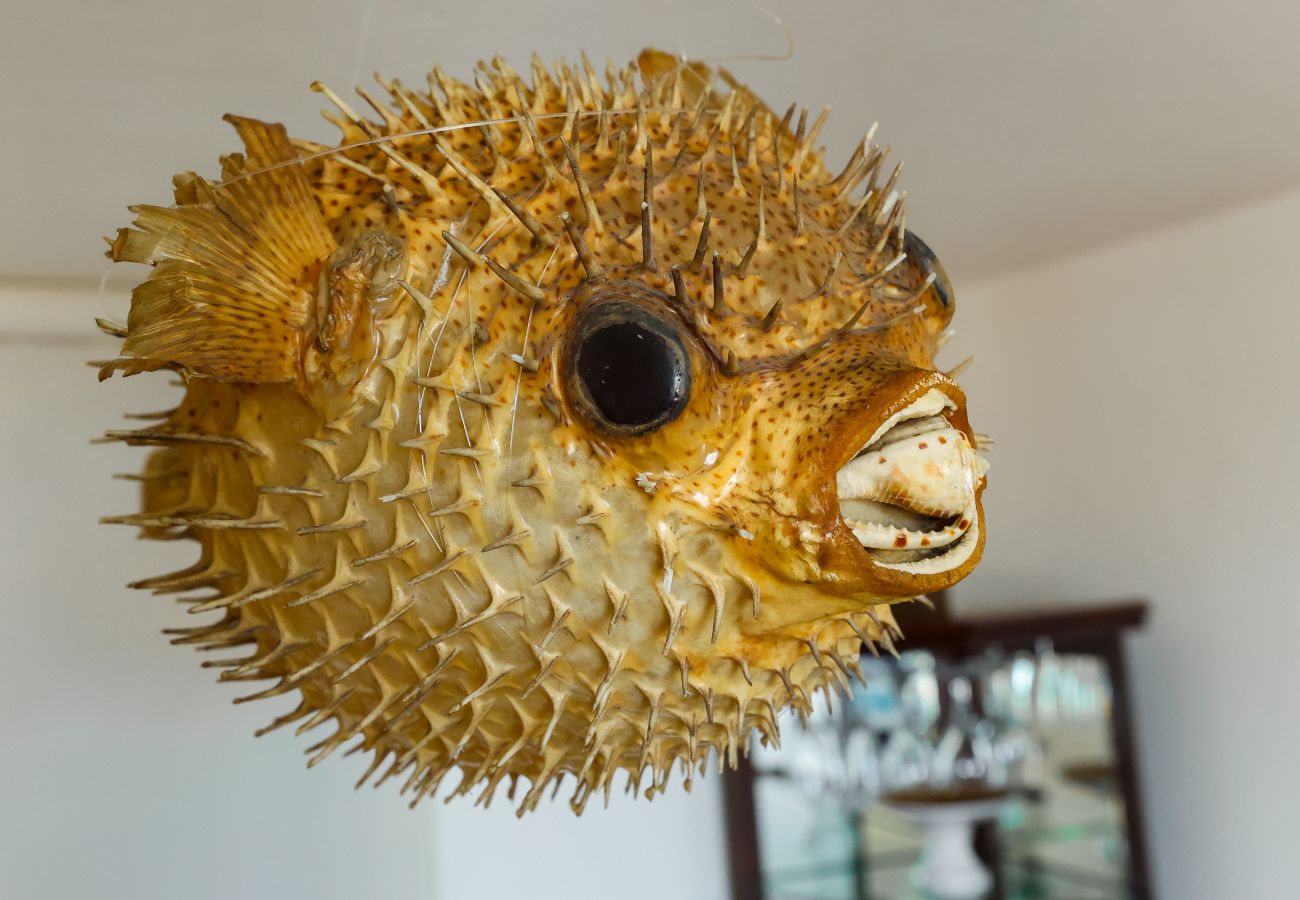 Apartamento en Fajardo - Ocean View Family Apartment Near Puerto del Rey Marina