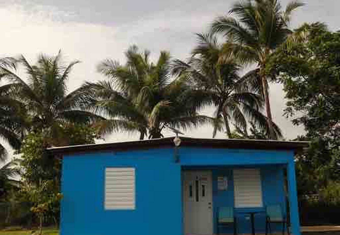 Cabaña en Cabo Rojo - Cabaña 4  Palma Azul 