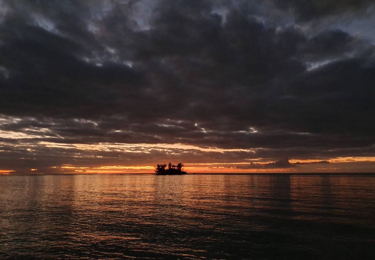 Cabaña en Cabo Rojo - Cabaña 4  Palma Azul 