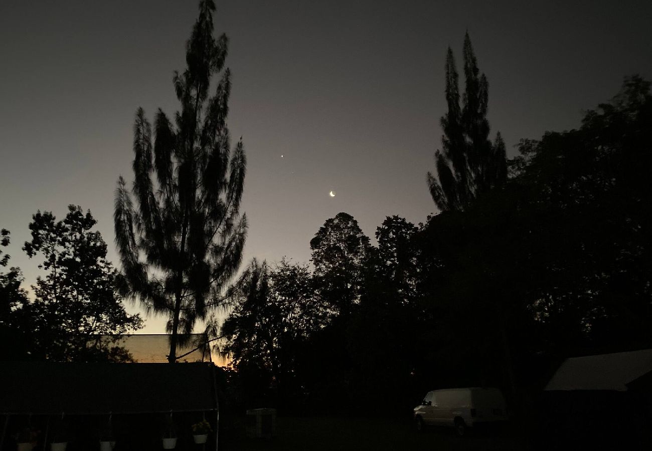 Cabaña en Cabo Rojo - Cabaña 4  Palma Azul 