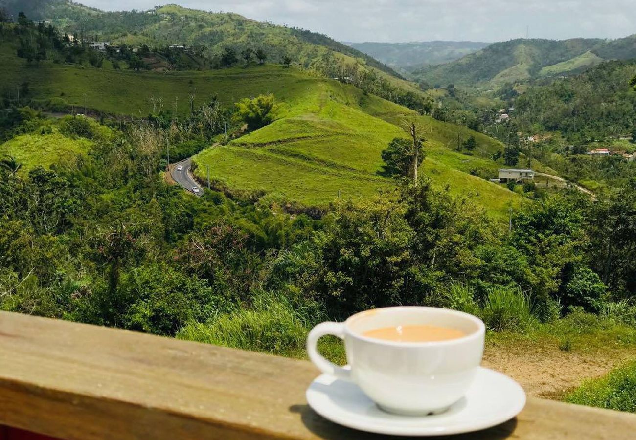 Agroturismo en Cidra - La Loma: Cozy Retreat with Jacuzzi & Views 