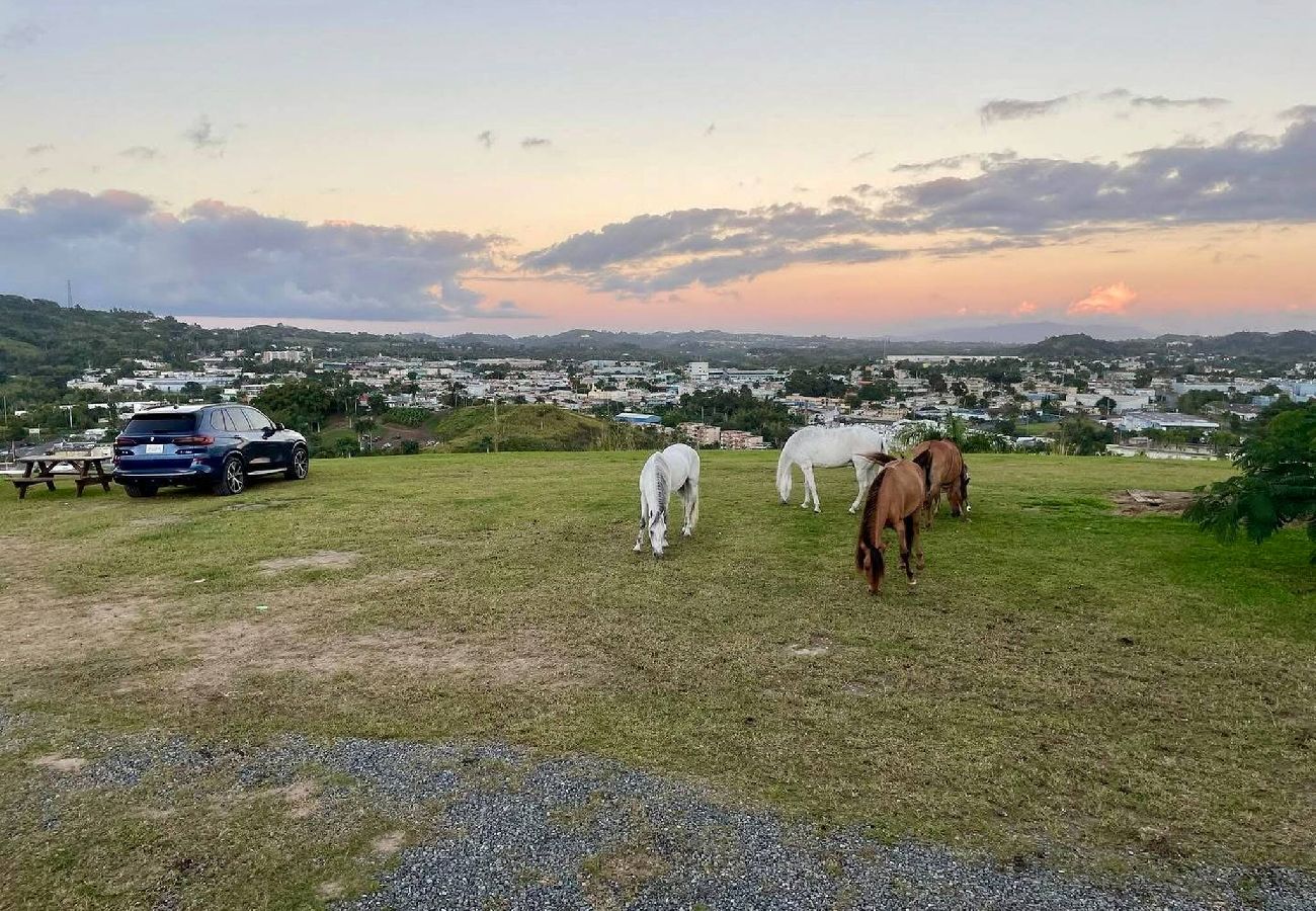 Agroturismo en Cidra - La Loma: Cozy Retreat with Jacuzzi & Views 