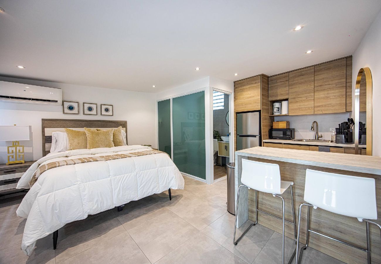 Apartamento en San Juan - Stylish and  Comfortable Studio Steps from La Cerra 