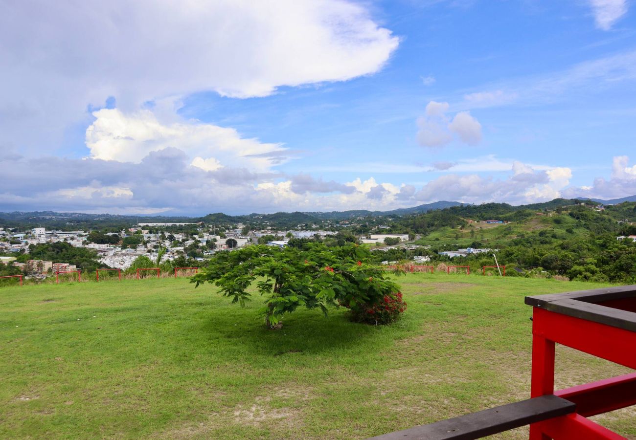 Agroturismo en Cidra - Private Mountain Gazebo for Events | BBQ + Views | 150+ Guests