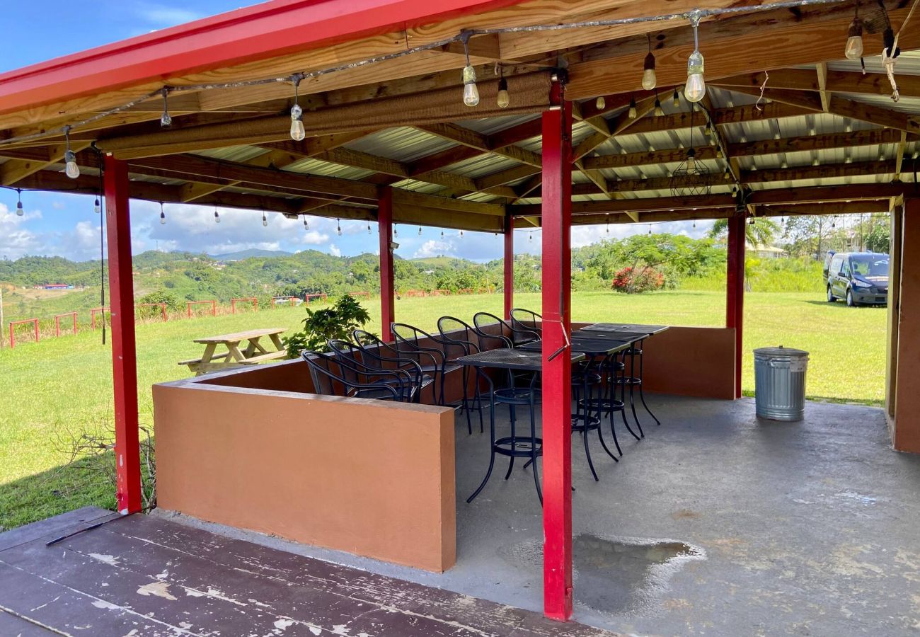 Agroturismo en Cidra - Private Mountain Gazebo for Events | BBQ + Views | 150+ Guests