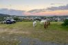 Agroturismo en Cidra - Private Mountain Gazebo for Events | BBQ + Views | 150+ Guests