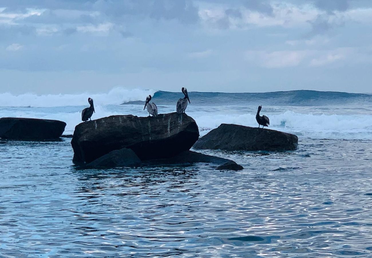 Casa en Camuy - Frente al mar CasaFamiliar Rústica Equipada para 8 