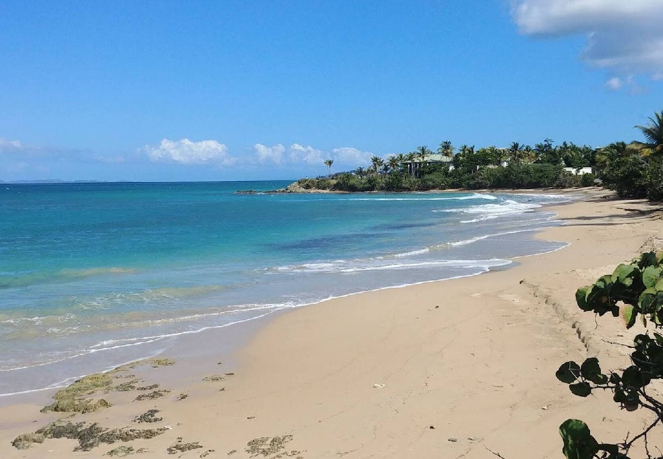 Apartamento en Vieques - Walk to the Beach · BioBay & Snorkel Tours 