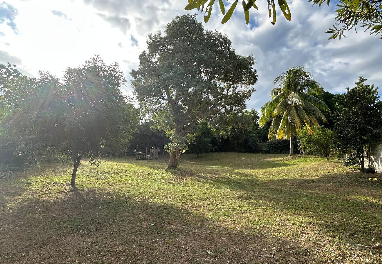 Apartamento en Vieques - Walk to the Beach · BioBay & Snorkel Tours 