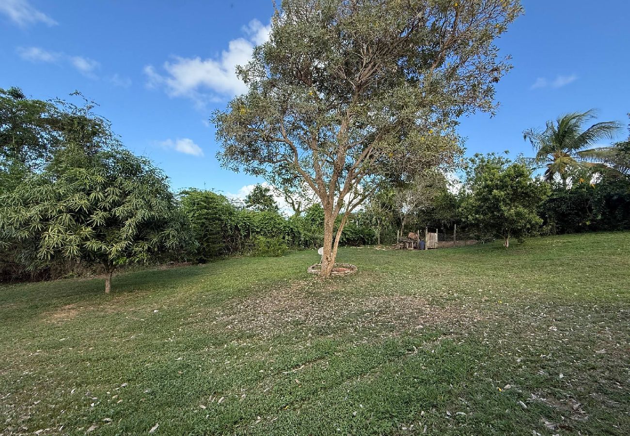 Apartamento en Vieques - Walk to the Beach · BioBay & Snorkel Tours 