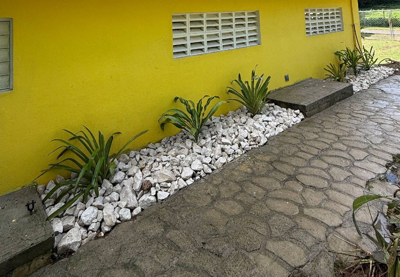 Apartamento en Vieques - Walk to the Beach · BioBay & Snorkel Tours 