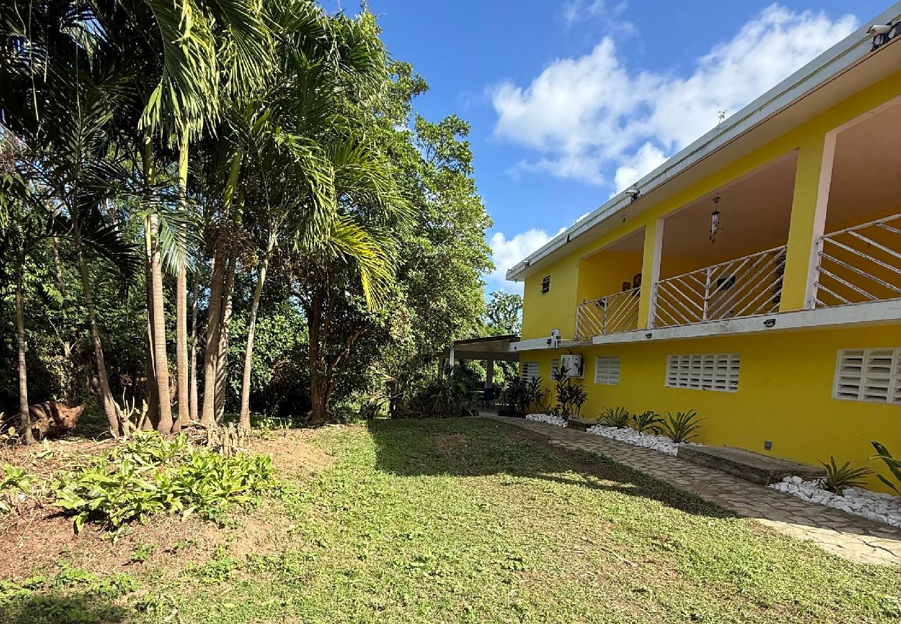 Apartamento en Vieques - Walk to the Beach · BioBay & Snorkel Tours 