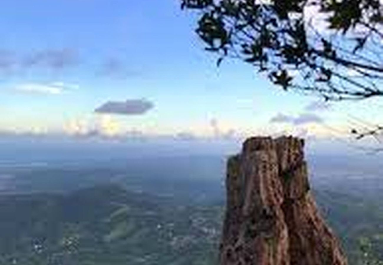 Apartamento en Yauco - -