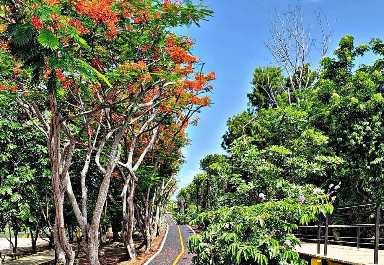 Apartamento en Yauco - -